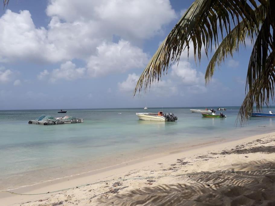 Au Bout Du Reve - Le Gosier Villa Le Gosier  Luaran gambar