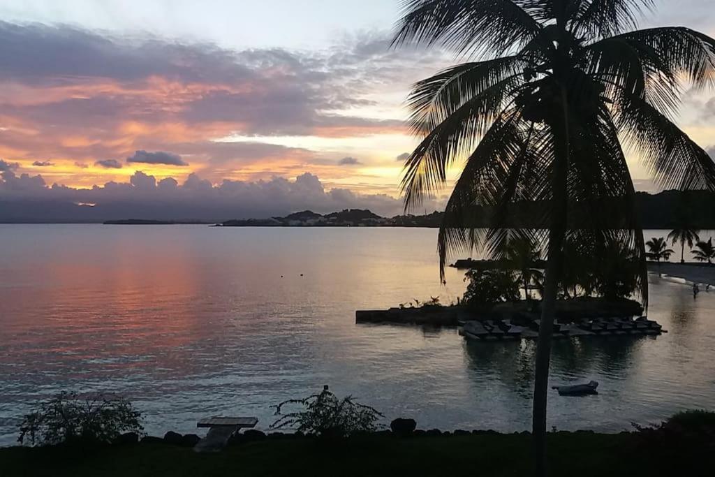 Au Bout Du Reve - Le Gosier Villa Le Gosier  Luaran gambar